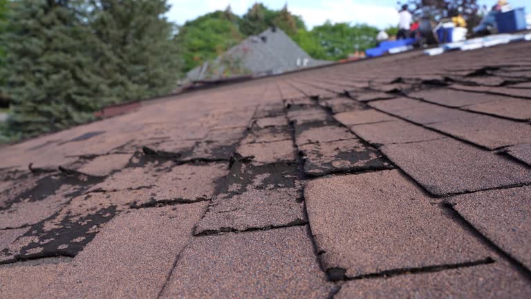 Best Tile Roofing Installation  in Crystal Lake, FL